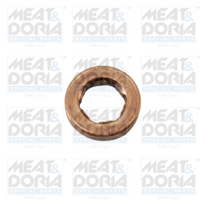 Seal Ring, injector